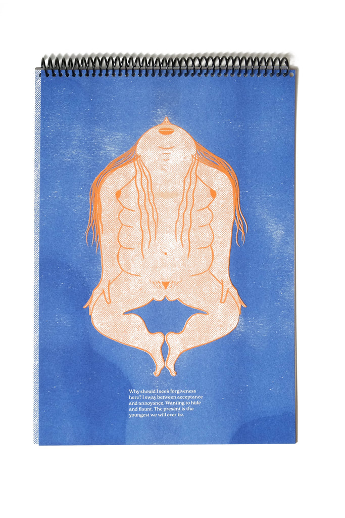 Lumps And Bumps - poster zine / loose prints