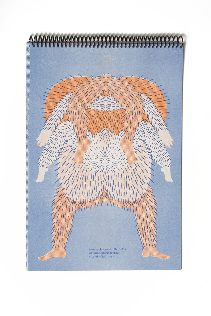 Lumps And Bumps - poster zine / loose prints