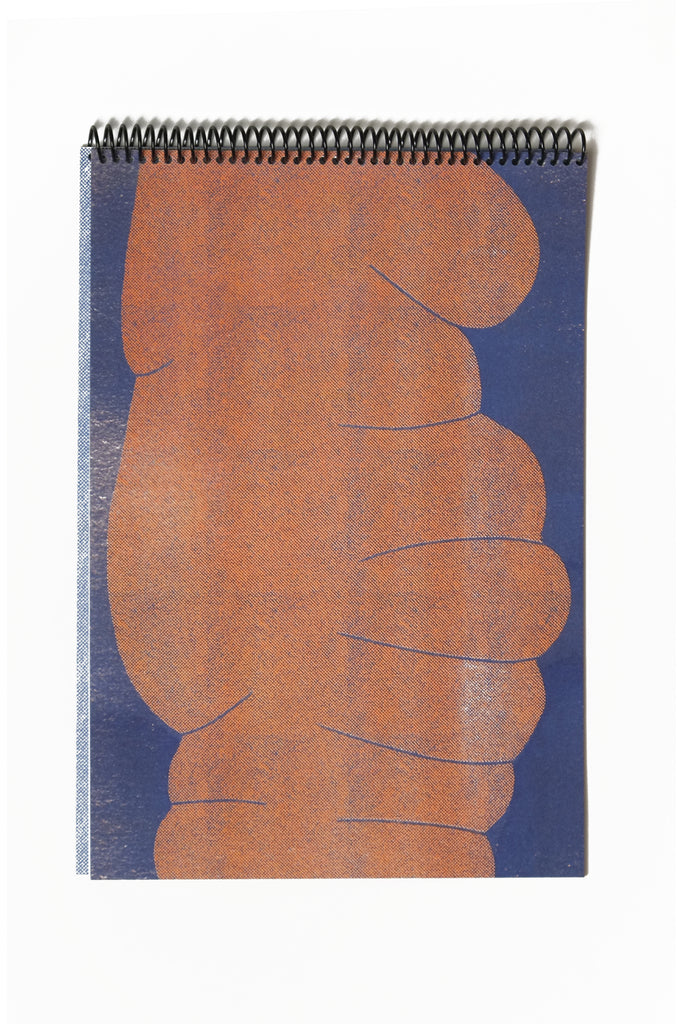 Lumps And Bumps - poster zine / loose prints