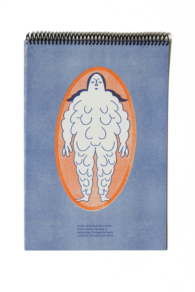 Lumps And Bumps - poster zine / loose prints