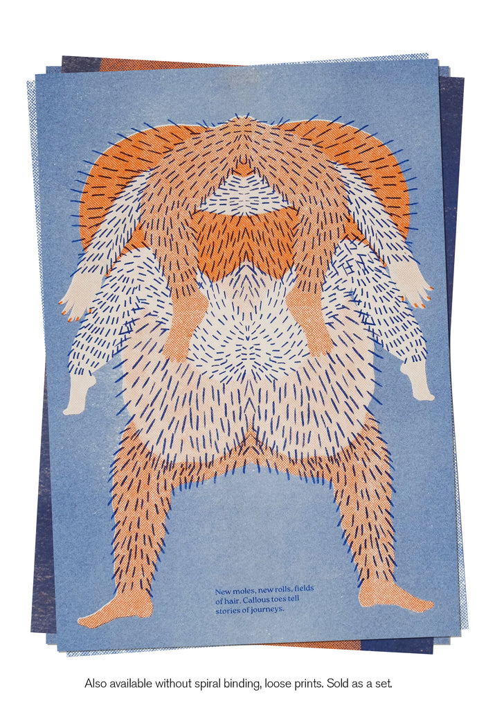 Lumps And Bumps - poster zine / loose prints