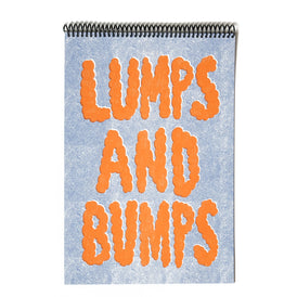 Lumps And Bumps - poster zine / loose prints