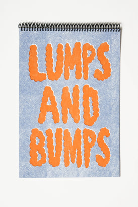 Lumps and Bumps - risographed poster- zine
